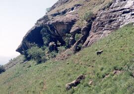 NMSA 02 272P