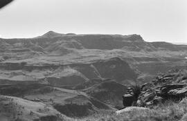 NMSA 03 5602P