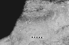 NMSA 03 4484P