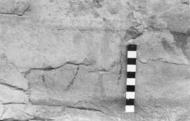 NMSA 03 1037P