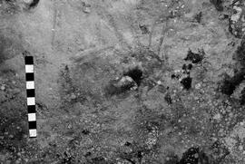 NMSA 03 4566P