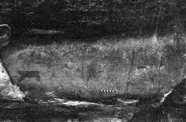 NMSA 03 3045P
