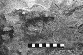 NMSA 03 4577P