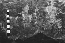 NMSA 03 4535P