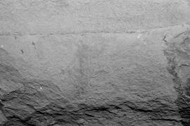 NMSA 03 8366P