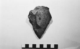 NMSA 03 3959P