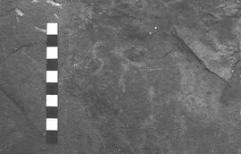 NMSA 03 2548P