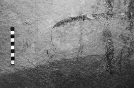 NMSA 03 4243P