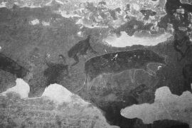 NMSA 03 7427P