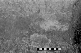 NMSA 03 6040P