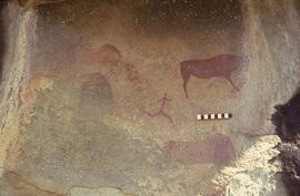 RSA CWD5 35
