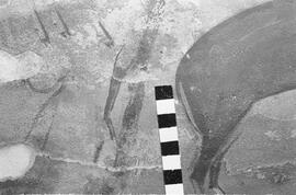 NMSA 03 1175P