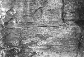 NMSA 03 209P