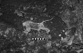 NMSA 03 3026P