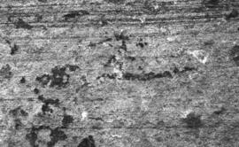 NMSA 03 8725P