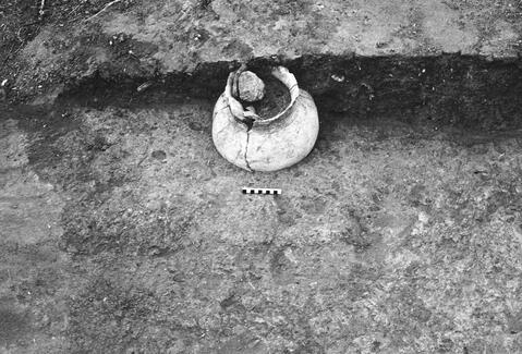 Open original Digital object