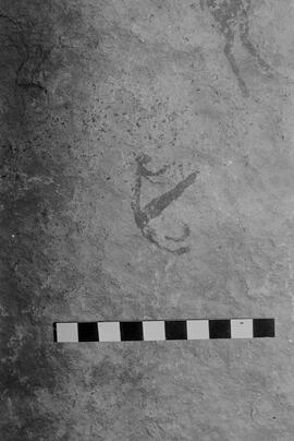 NMSA 03 5376P