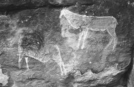 NMSA 03 219P