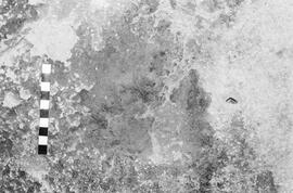 NMSA 03 1921P