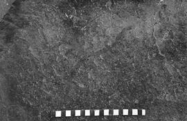 NMSA 03 6936N