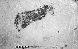 NMSA 03 3198P