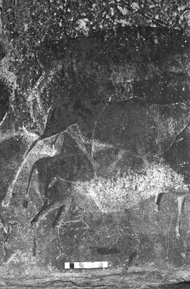 NMSA 03 1417P