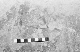 NMSA 03 1923P