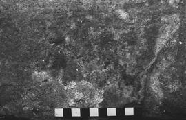 NMSA 03 6345P