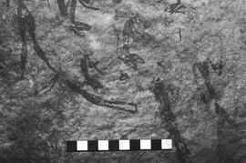 NMSA 03 4155P