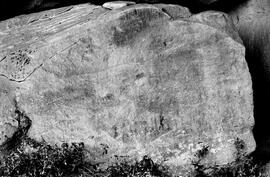 NMSA 03 6403P