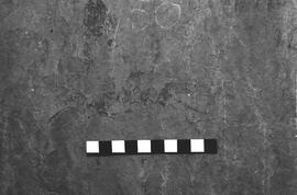 NMSA 03 2498P