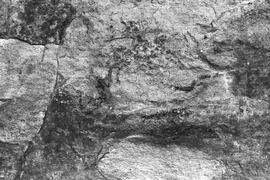 NMSA 03 442P