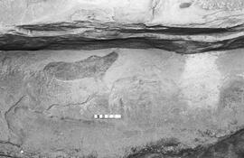 NMSA 03 1397P
