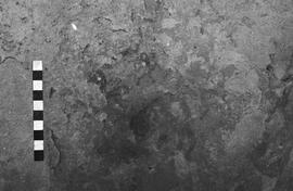 NMSA 03 4106P