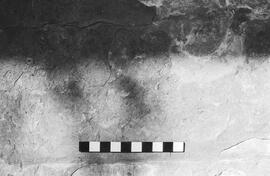 NMSA 03 2249P