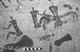 NMSA 03 5379P