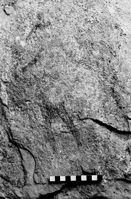 NMSA 03 3354P