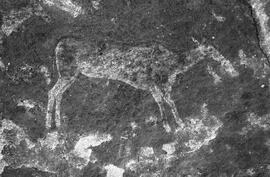 NMSA 03 7431P