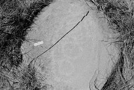 NMSA 03 7473P