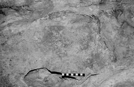NMSA 03 6483P