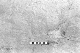 NMSA 03 1327P