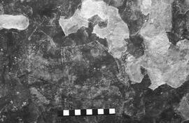 NMSA 03 4380P