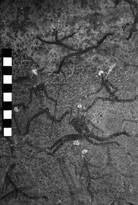 NMSA 03 3053P