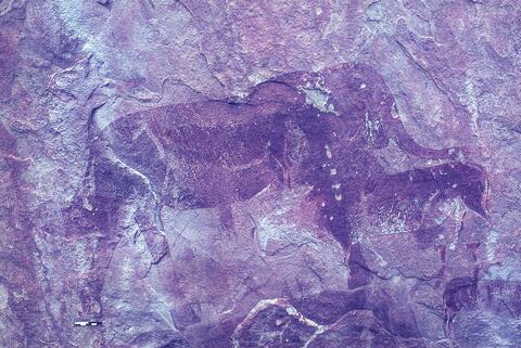 Open original Digitaal object