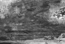 NMSA 03 514P