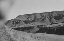 NMSA 03 3398P