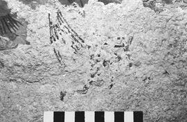 NMSA 03 1201P