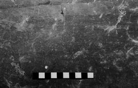 NMSA 03 3412P