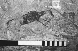 NMSA 03 449P