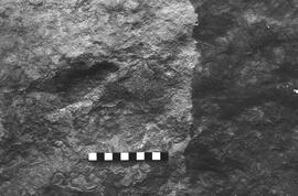NMSA 03 2371P